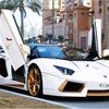 jessy3838